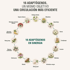 Circuheal Adaptoheal
