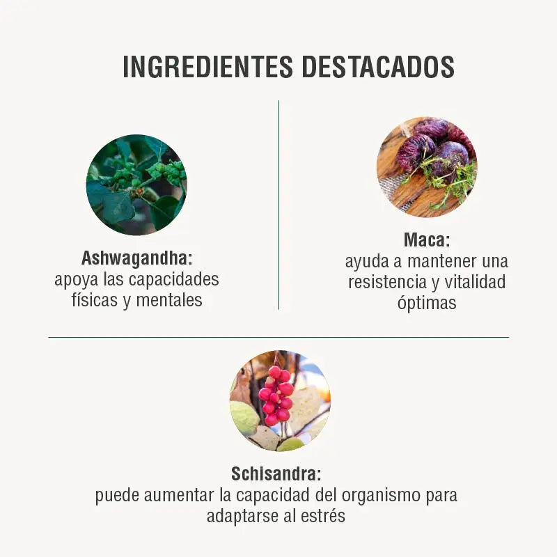 Energyheal Adaptoheal