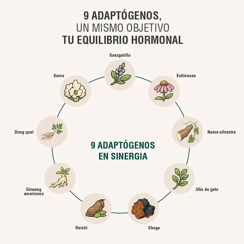 Hormobalance Adaptoheal