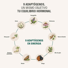 Hormobalance Adaptoheal