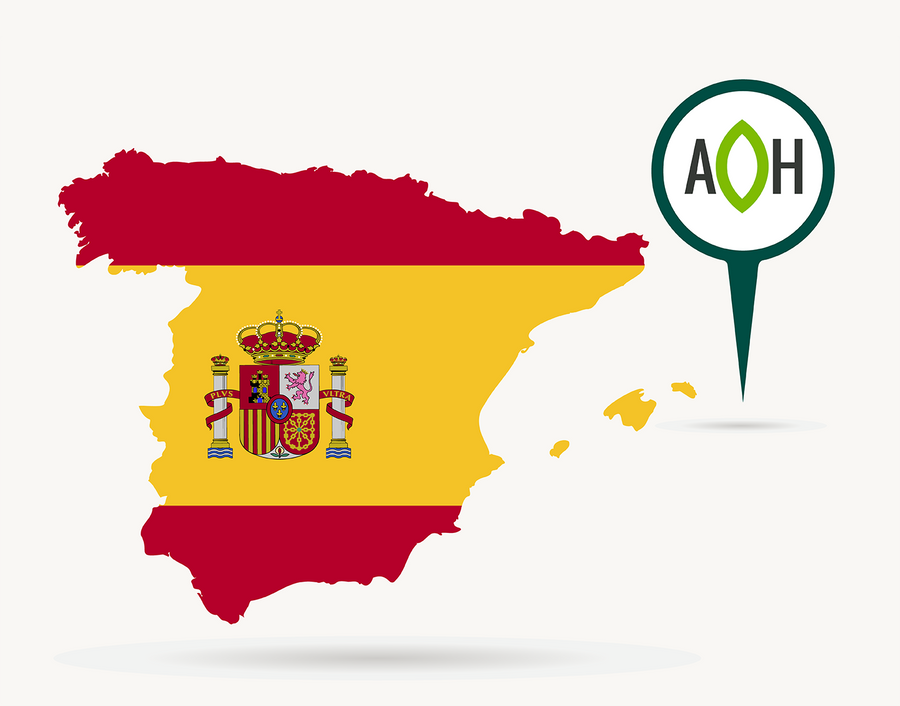 Llegamos a Europa