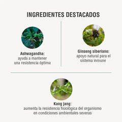 Immodulator Adaptoheal