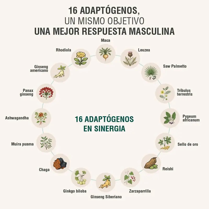 Menheal Adaptoheal