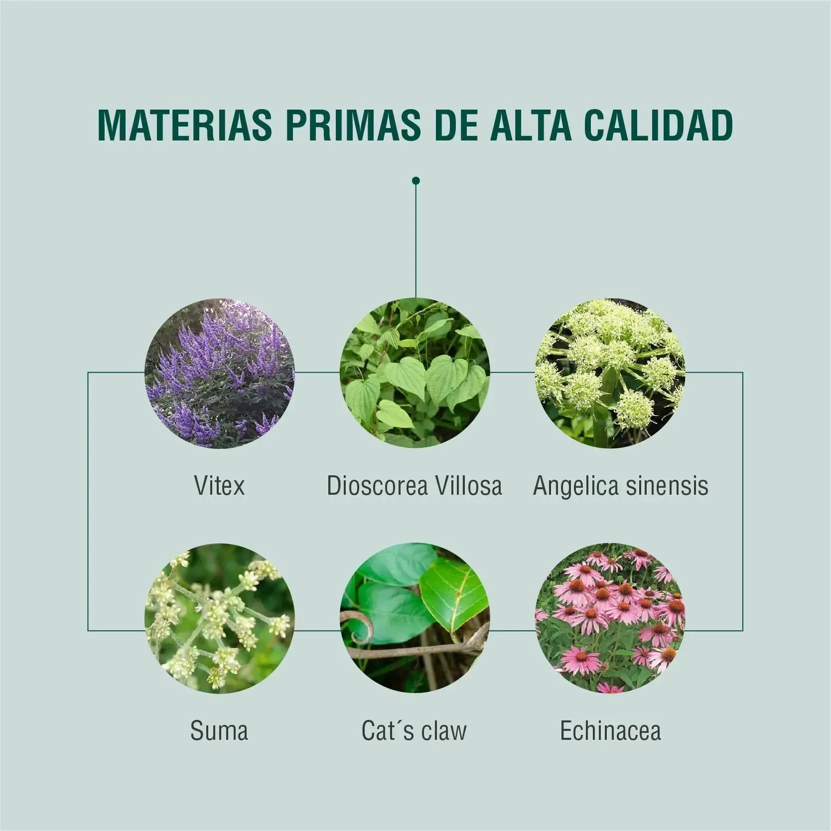 Hormobalance Adaptoheal