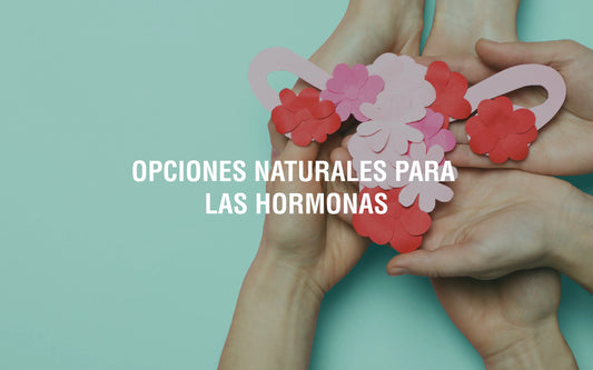 Adaptógenos-y-sistema-endocrino Adaptoheal