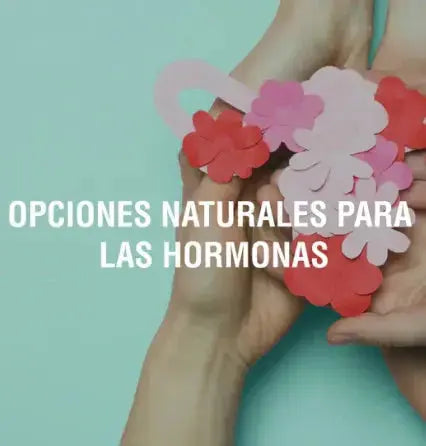 Adaptógenos y sistema endocrino Adaptoheal