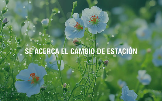 Alerta de alergia primaveral Adaptoheal