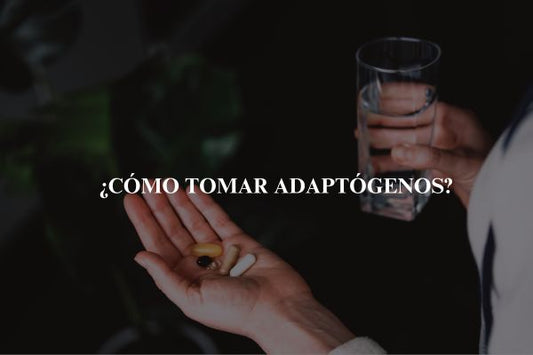 como tomar adaptogenos