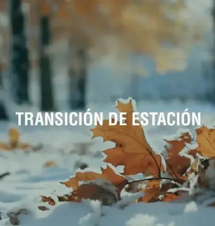 Cómo mantener tu energía a toda máquina Adaptoheal