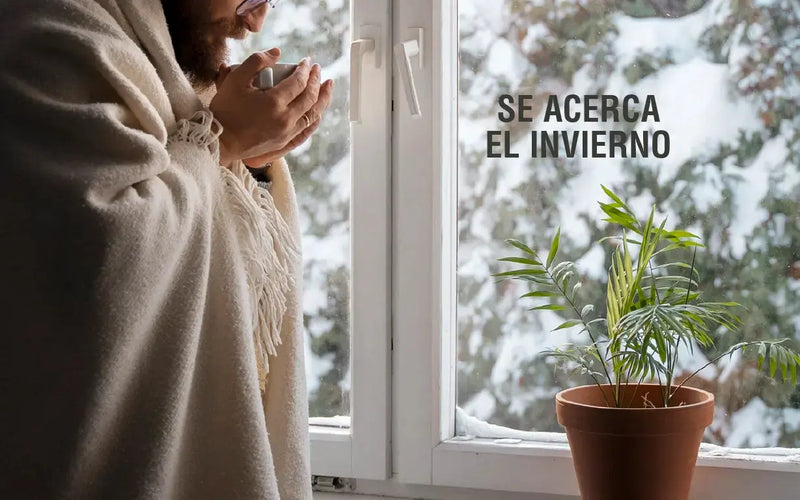 Cómo preparar tu cuerpo para el frío y la baja energía Adaptoheal