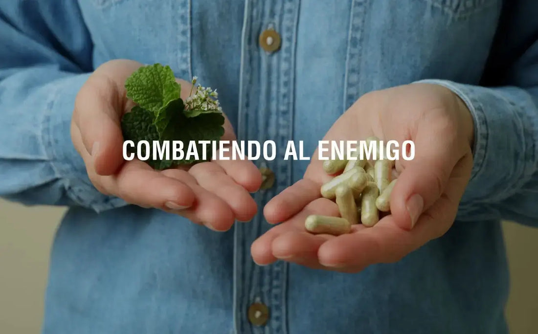 Conozcamos cómo los adaptógenos pueden ayudar a reducir el estrés y cuándo debo tomarlos Adaptoheal