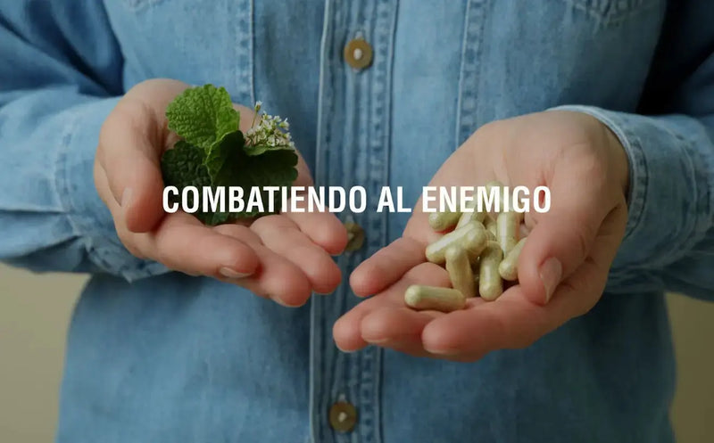 Conozcamos cómo los adaptógenos pueden ayudar a reducir el estrés y cuándo debo tomarlos Adaptoheal