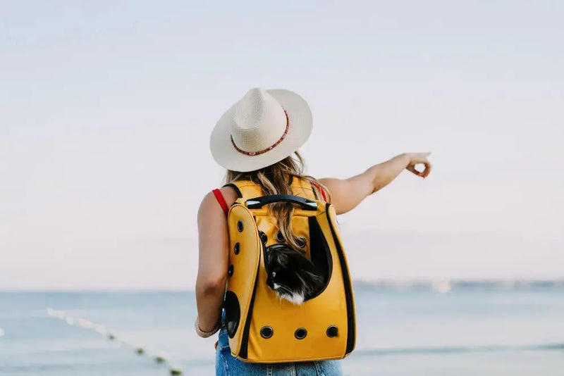 ¿Cuáles son los mejores adaptógenos para la vuelta de vacaciones? Adaptoheal