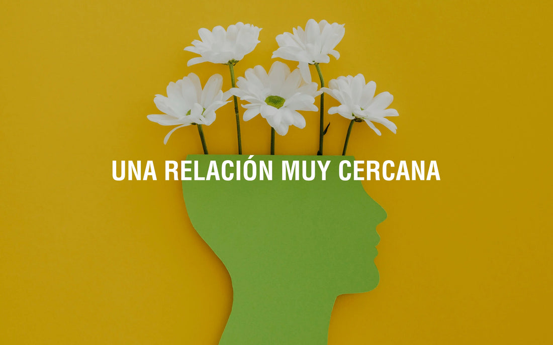 El-bienestar-mental-y-su-conexión-con-la-respuesta-inmunitaria Adaptoheal