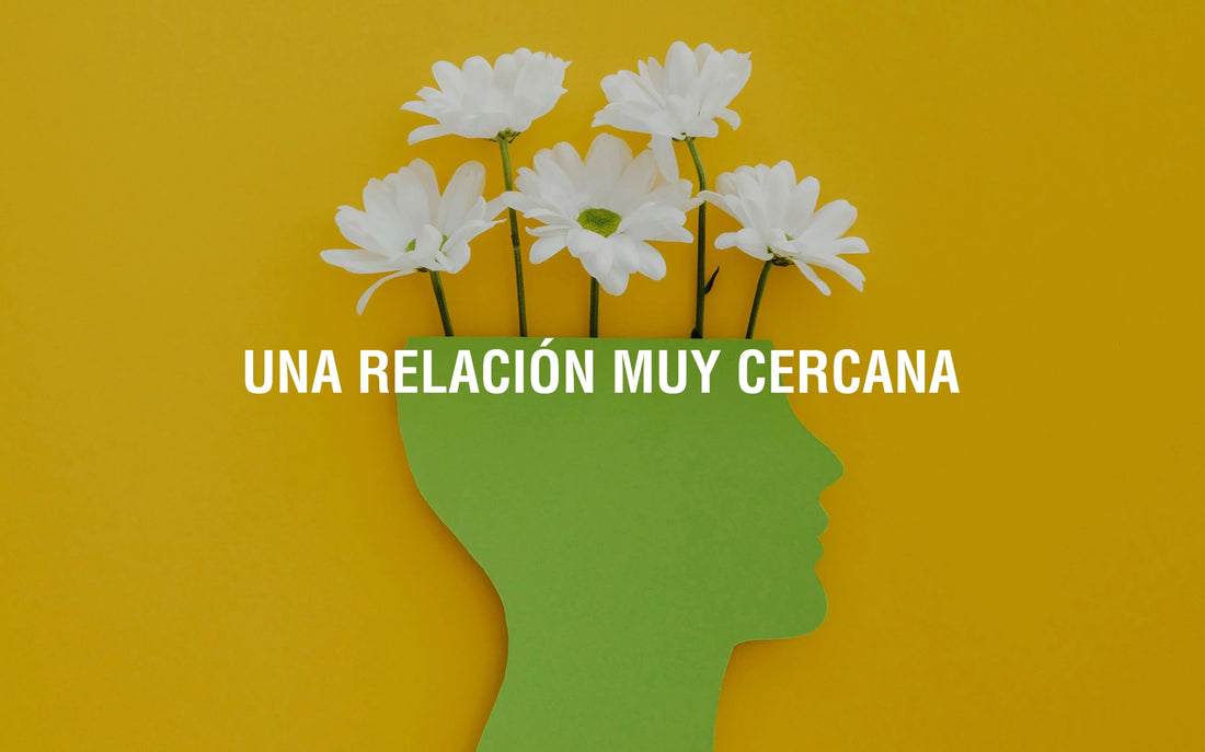 El bienestar mental y su conexión con la respuesta inmunitaria Adaptoheal
