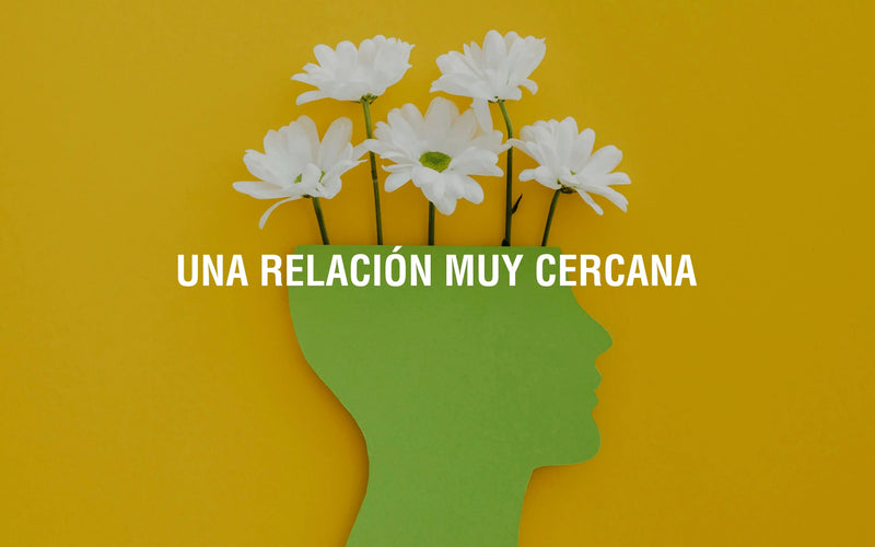 El bienestar mental y su conexión con la respuesta inmunitaria Adaptoheal