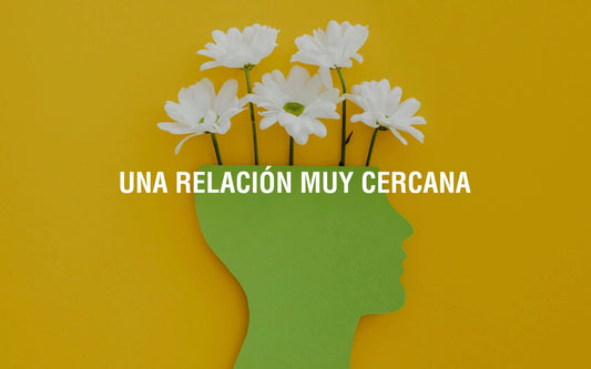 El bienestar mental y su conexión con la respuesta inmunitaria Adaptoheal