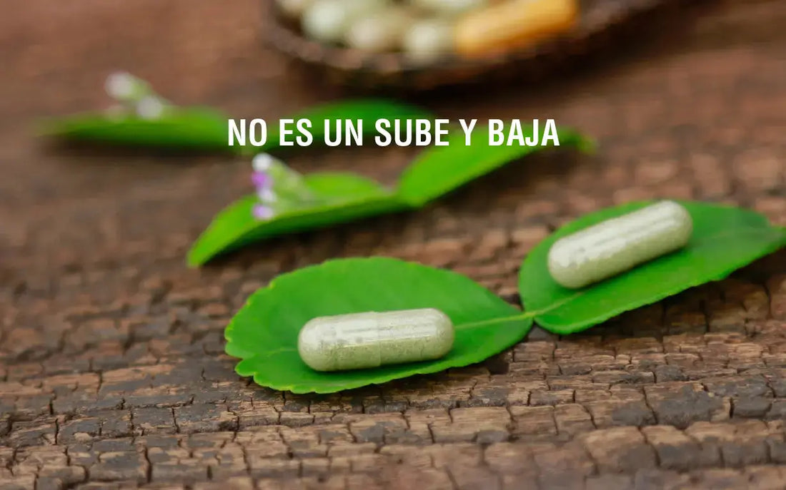 El efecto bidireccional: el secreto detrás de la eficacia adaptogénica Adaptoheal