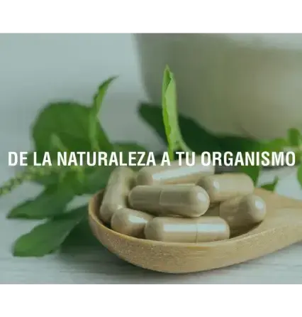El papel de los adaptógenos en la regulación del eje hipotálamo-hipófisis-suprarrenal Adaptoheal