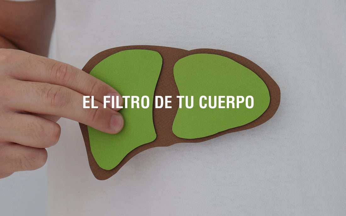 El poder desintoxicador del hígado Adaptoheal