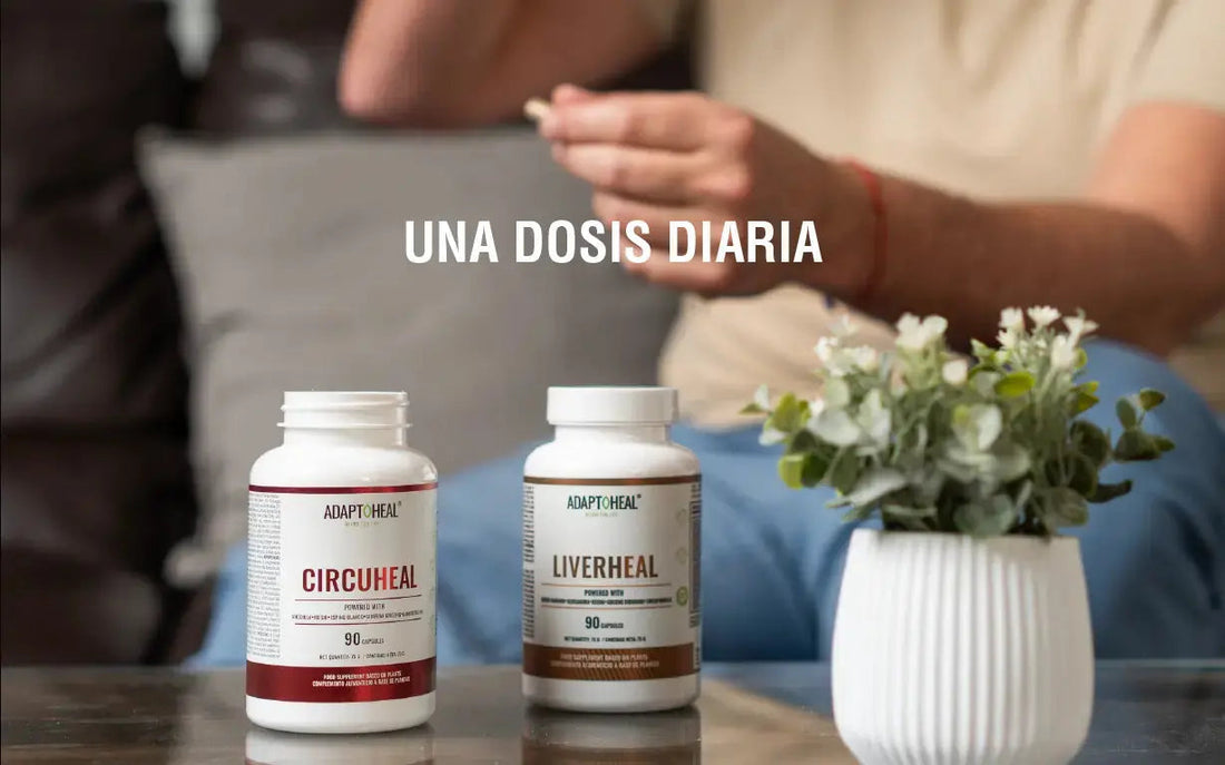 La constancia al tomar adaptógenos: la clave para su eficacia real Adaptoheal