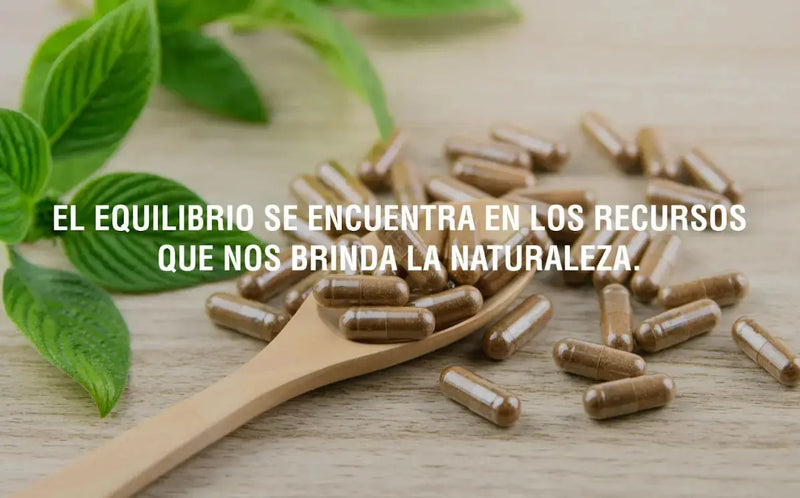 Los adaptógenos y una historia llena de bienestar mental y salud integral Adaptoheal