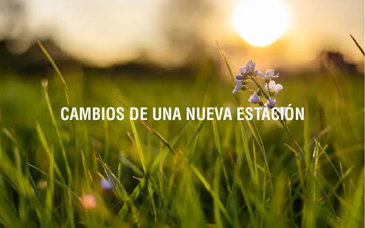 Los efectos de la primavera en la salud Adaptoheal