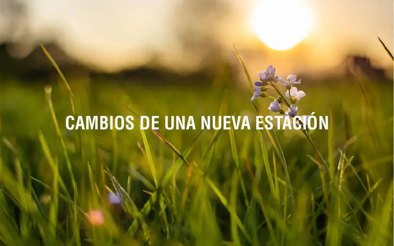 Los efectos de la primavera en la salud Adaptoheal