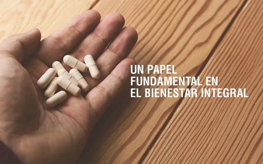 ¿Por qué es tan importante la suplementación con magnesio? Adaptoheal