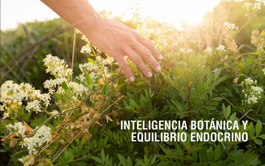 ¿Por qué los adaptógenos no son hormonas sintéticas? Adaptoheal