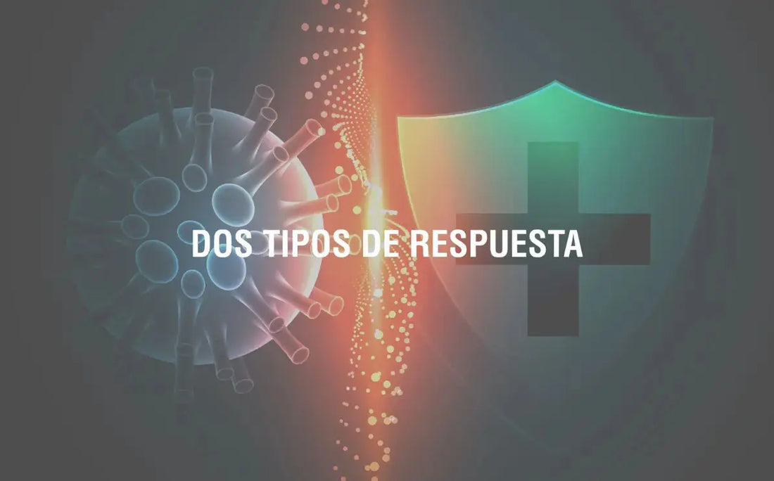 Sistema inmune ¿débil o excesivo? Adaptoheal