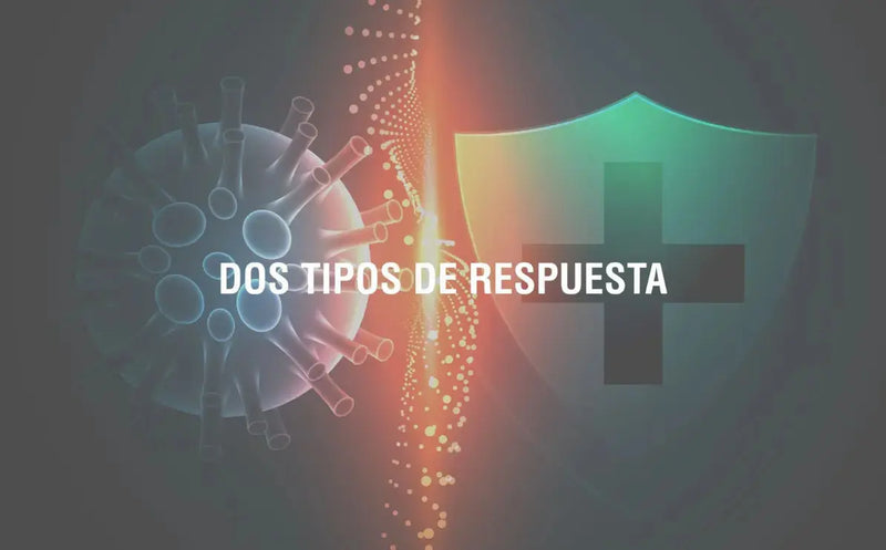Sistema inmune ¿débil o excesivo? Adaptoheal