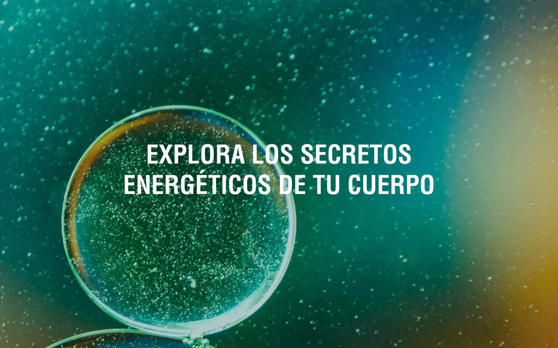 Todo lo que necesitas saber sobre tus mitocondrias Adaptoheal