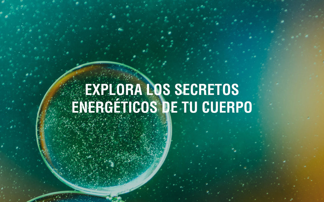 Todo-lo-que-necesitas-saber-sobre-tus-mitocondrias Adaptoheal