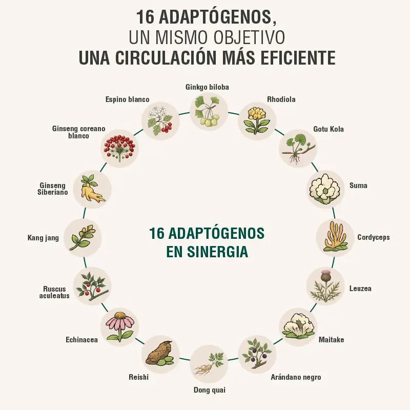Circuheal Adaptoheal