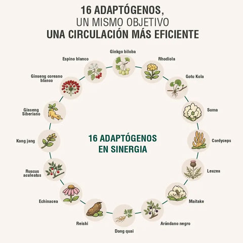 Circuheal Adaptoheal
