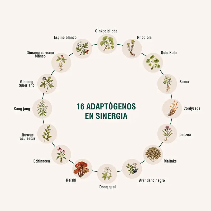 Circuheal Adaptoheal