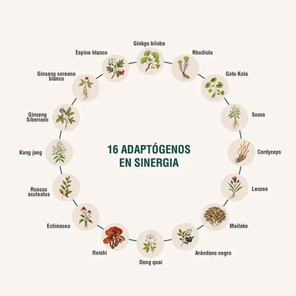 Circuheal Adaptoheal