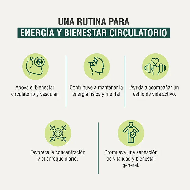 Circulación activa Adaptoheal