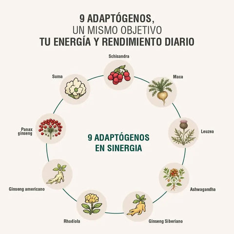 Energyheal Adaptoheal