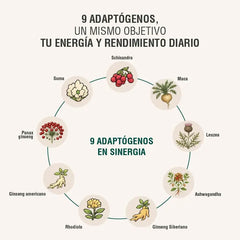 Energyheal Adaptoheal
