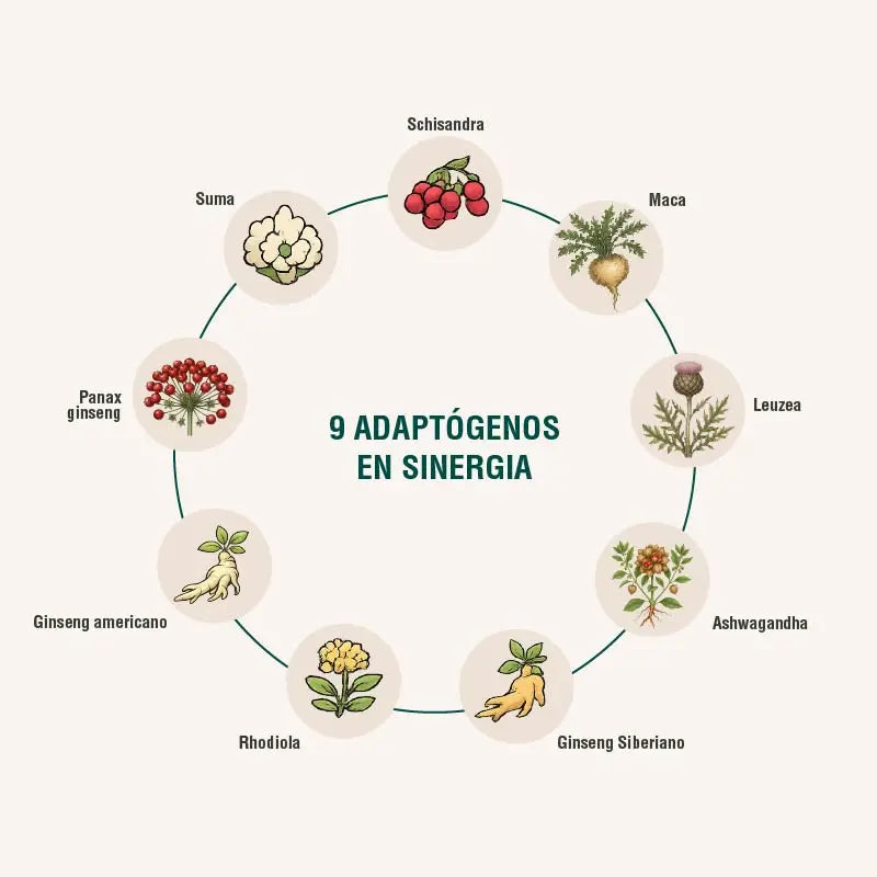 Energyheal Adaptoheal