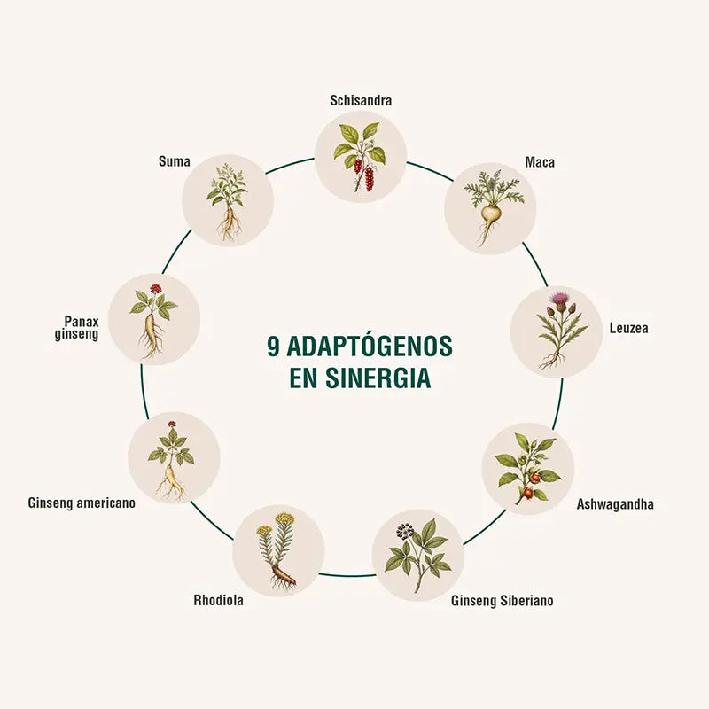 Energyheal Adaptoheal
