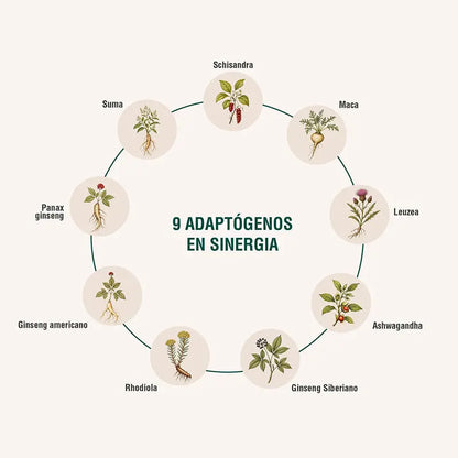 Energyheal Adaptoheal