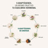 Hormobalance Adaptoheal