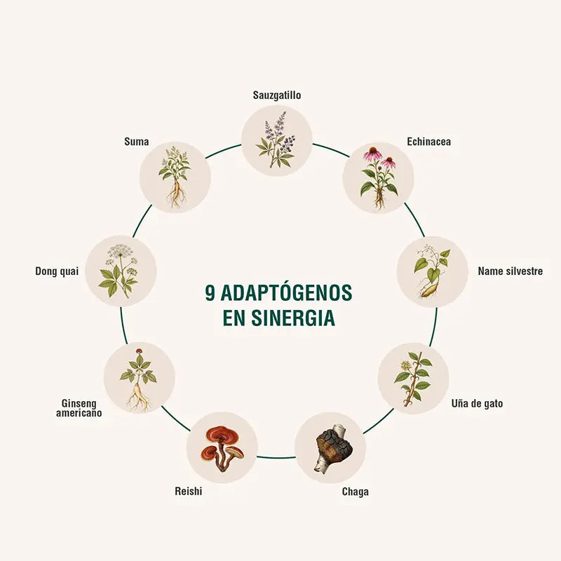 Hormobalance Adaptoheal