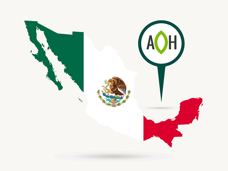 El primer paso