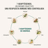 Immodulator Adaptoheal