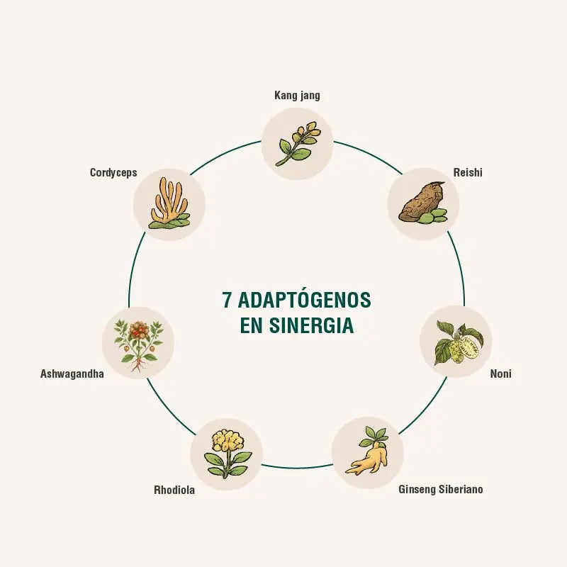 Immodulator Adaptoheal