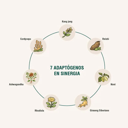 Immodulator Adaptoheal